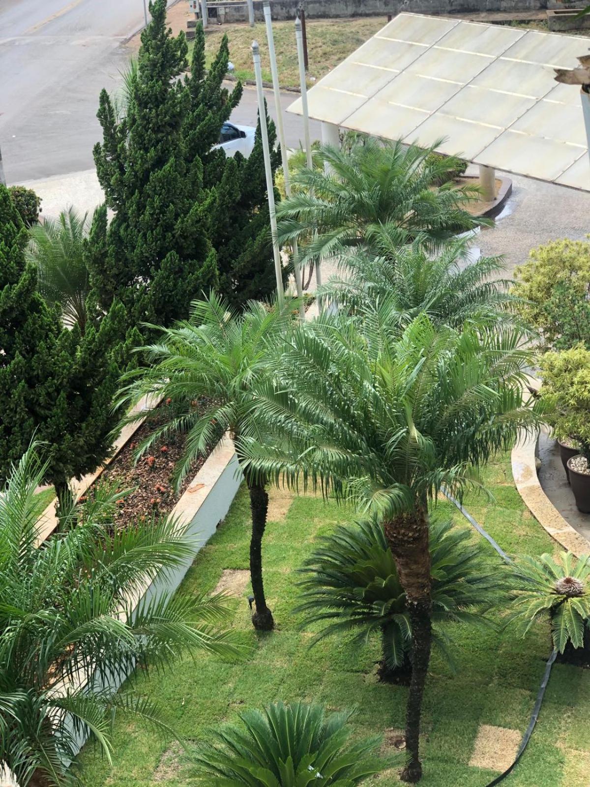 Paracatu Plaza Hotel Екстер'єр фото